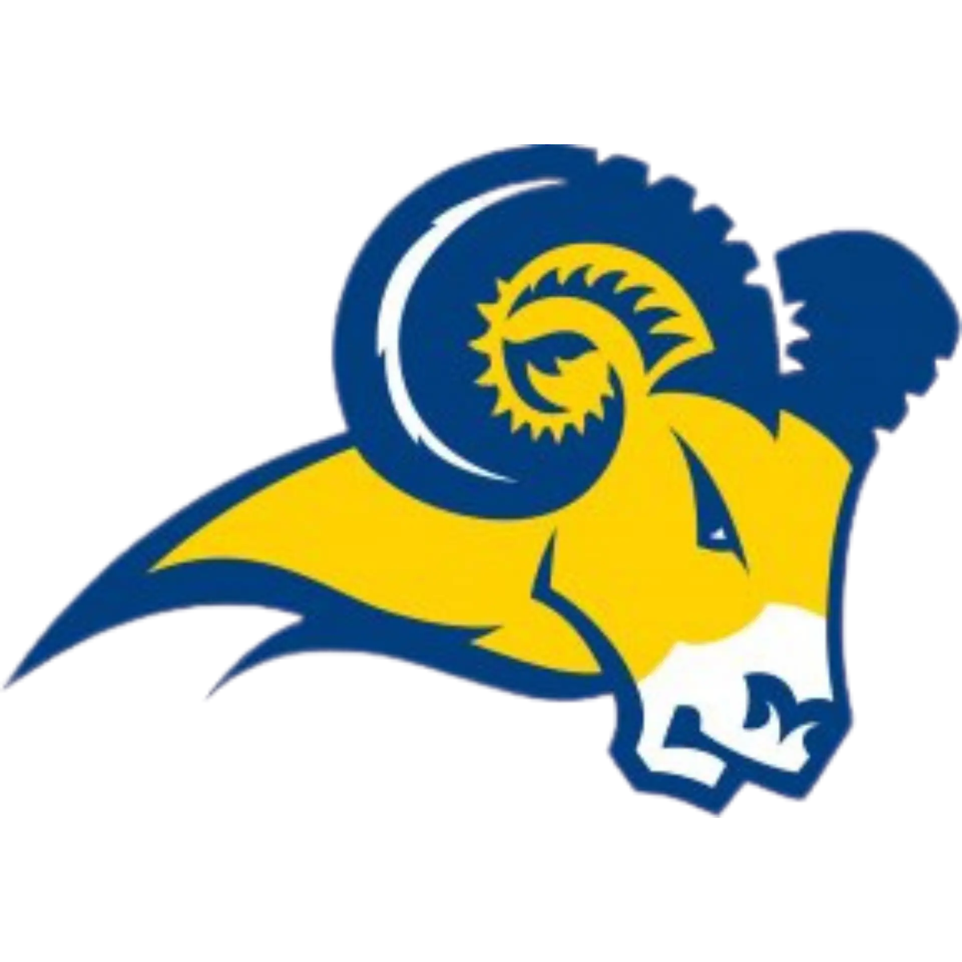Texas Wesleyan University